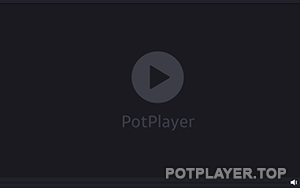 PotPlayer на Виндовс xp